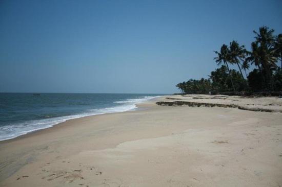 Fool'S Paradise Homestay Alappuzha Екстер'єр фото