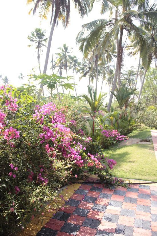 Fool'S Paradise Homestay Alappuzha Екстер'єр фото